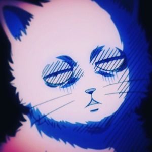 Meet your Posher, Dylan